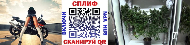 закладка  ссылка на мегу онион  Бошки марихуана SATIVA & INDICA  Курск 